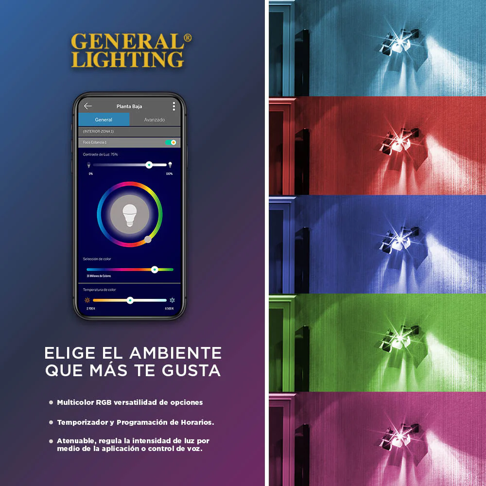 Imagen del producto 5